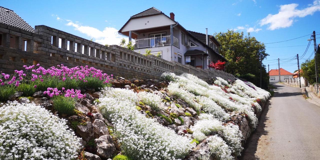 Szabo Vendeghaz Hotel Villany Luaran gambar