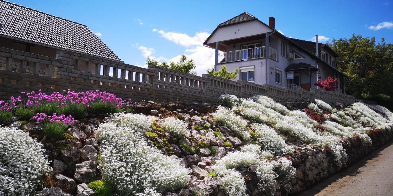 Szabo Vendeghaz Hotel Villany Luaran gambar